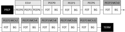 Comparison of the respiratory effects of commonly utilized general anaesthesia regimes in male Sprague-Dawley rats